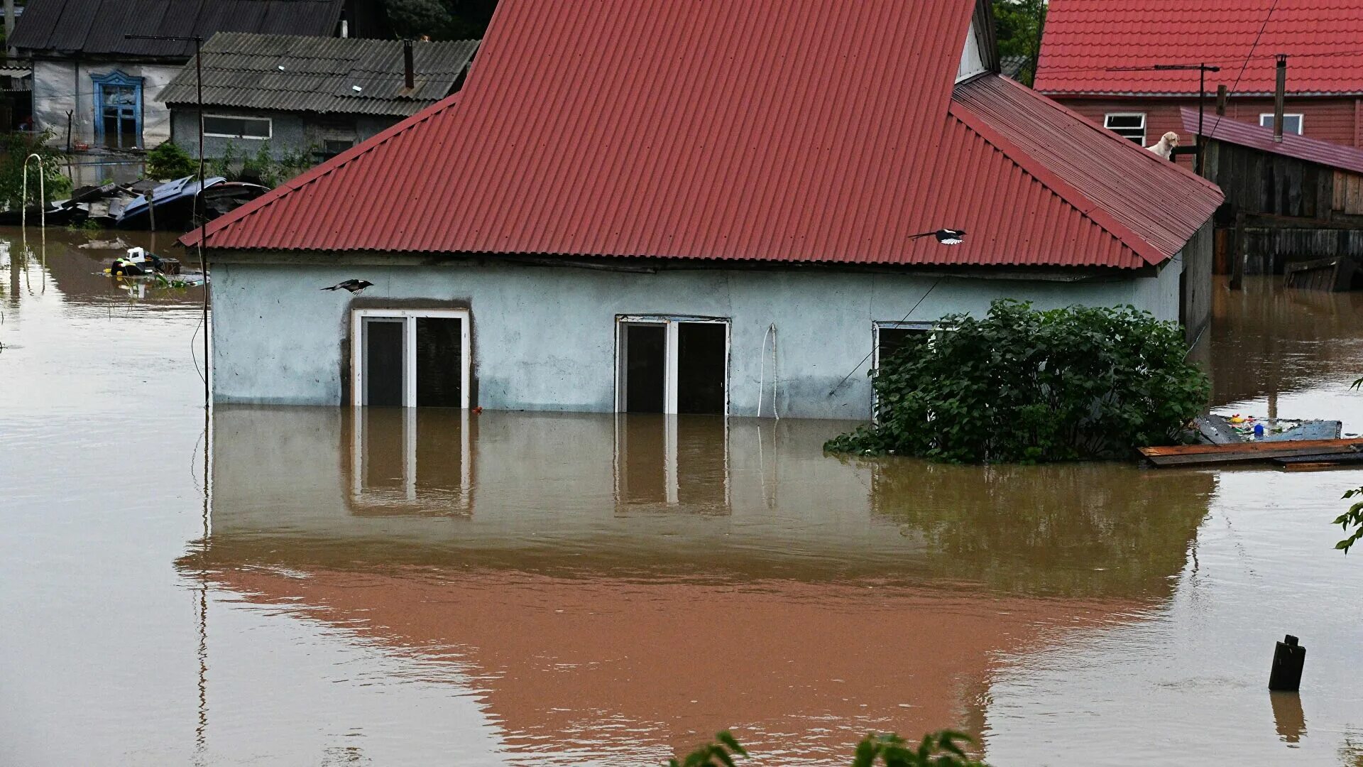 Два затопленных дома. Антоновка Чугуевский район наводнение. Подтопление жилых домов. Затопленные дома. Наводнение в Приморье.