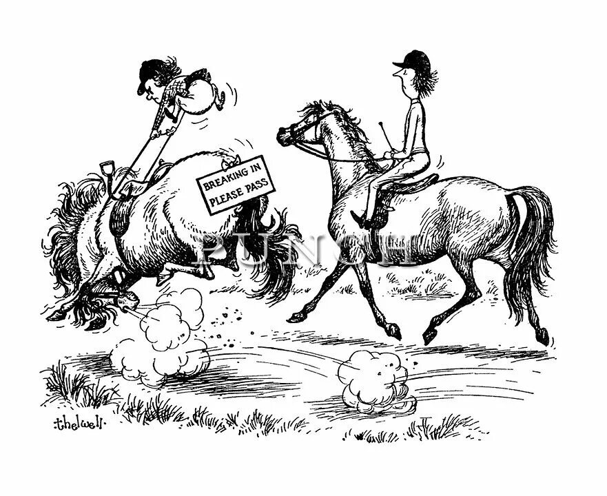 Конь вырвется догонишь а сказанного. Конь карикатура. Конные карикатуры. Лошадь карикатура смешные. Рабочая лошадь карикатура.