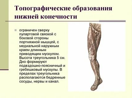 Операции верхних и нижних конечностей