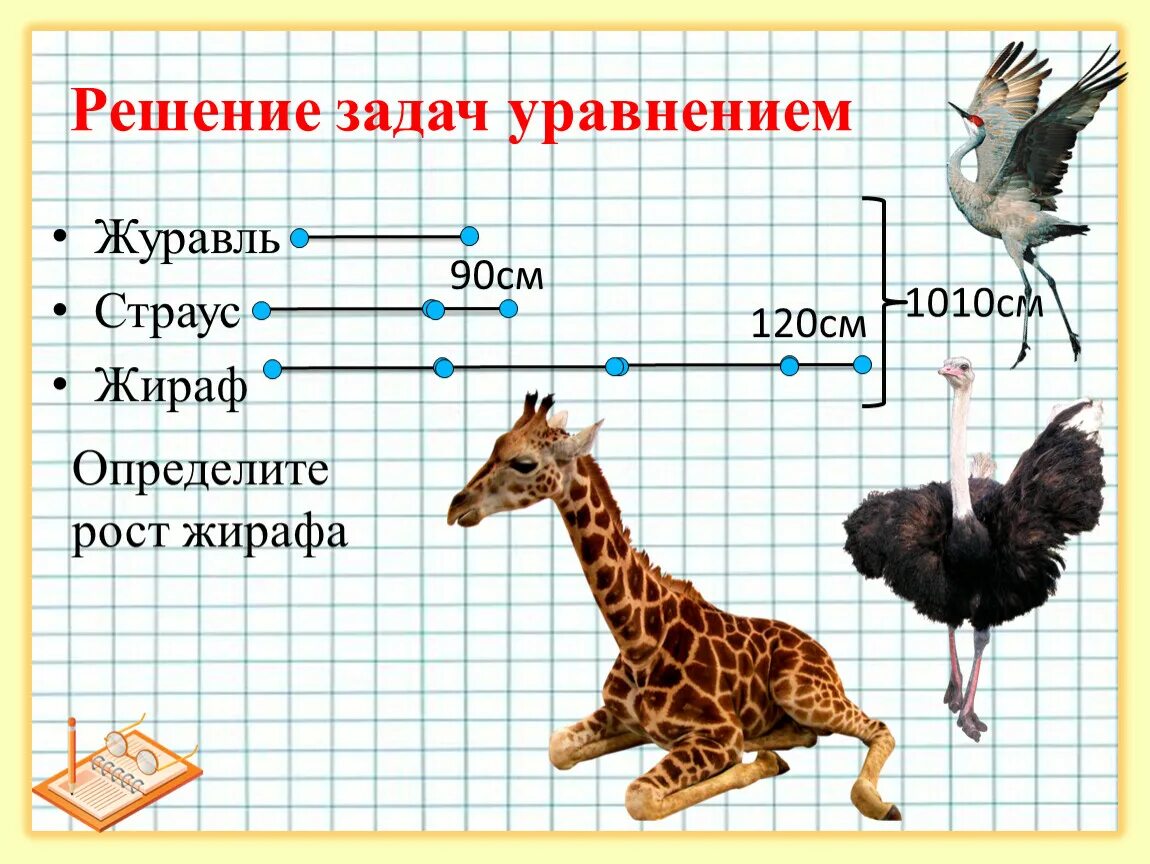 Величины рост жирафа толщина лезвия бритвы. Рост жирафа. Жираф вес. Жираф и журавль. Страус и журавль.