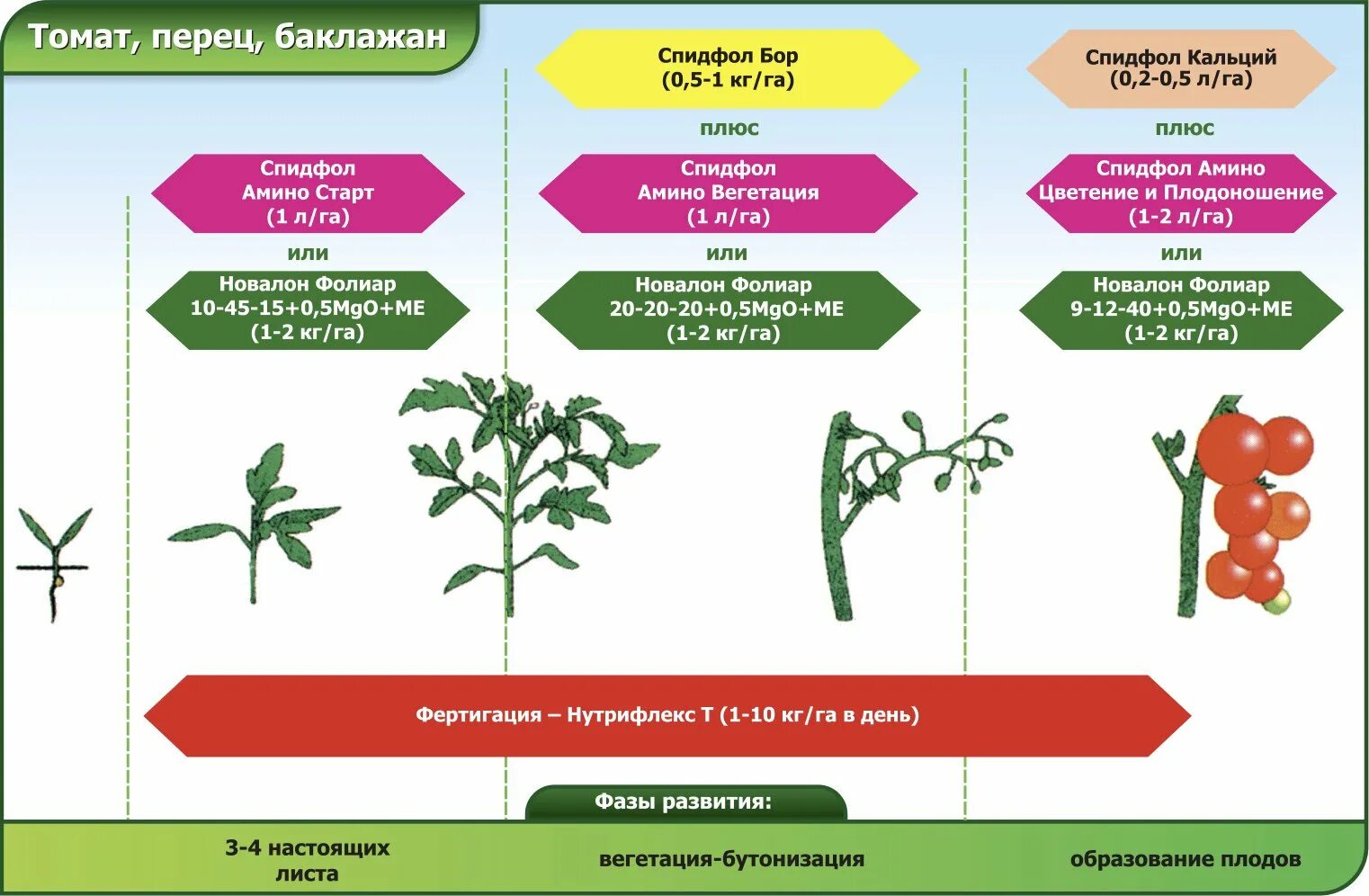 Какие удобрения по листу