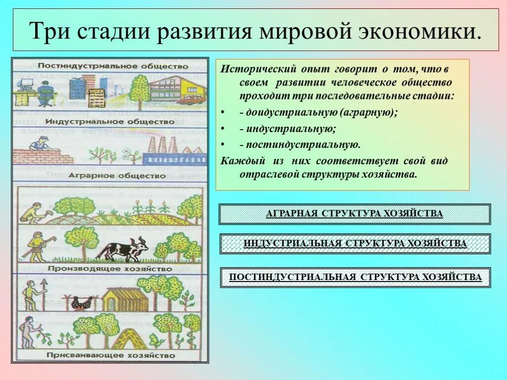 Экономика в становлении общества