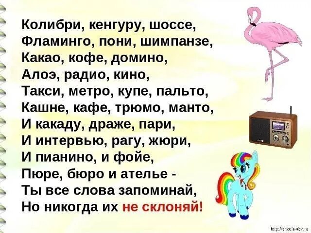 Словосочетание с словом колибри. Колибри кенгуру шоссе Фламинго пони. Кенгуру шимпанзе Фламинго пони. Пони кенгуру шимпанзе Какаду. Колибри кенгуру шоссе Фламинго пони шимпанзе.