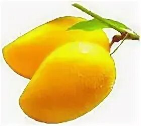 Arsip mango