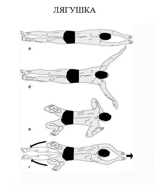 Техника плавания по лягушачьи. Стиль плавания брасс техника. Брасс плавание техника лягушка. Техника плавания брассом. Научиться плавать взрослому с нуля самостоятельно