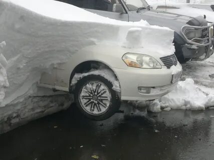 Я хочу остался снег