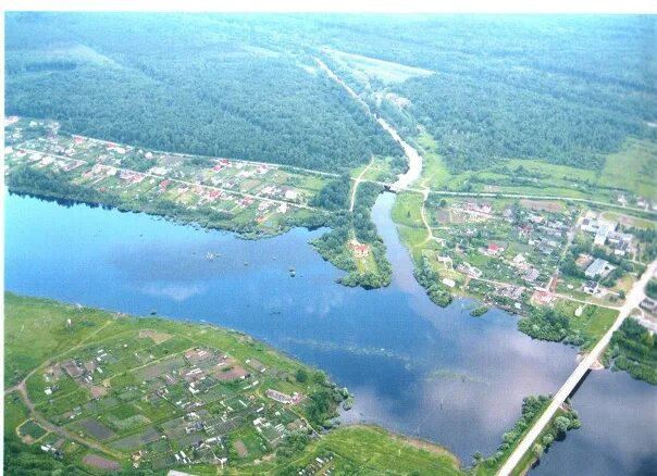 Савино новгородская область. ЗАО Савино. П. Савино Новгородская область. Деревня Савино Новгородская область. Савино Новгородская область население.