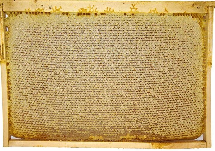 мёд в сотах. рамка для пчелиных сот. мёд в сотах. рамка медовая запечатанная. рамка сот.