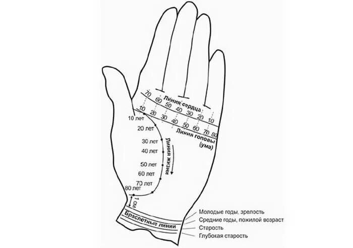 Как определить по линии жизни на руке сколько человек проживет. Хиромантия линия жизни. Хиромантия линии на ладони года. Хиромантия линия жизни на руке расшифровка.