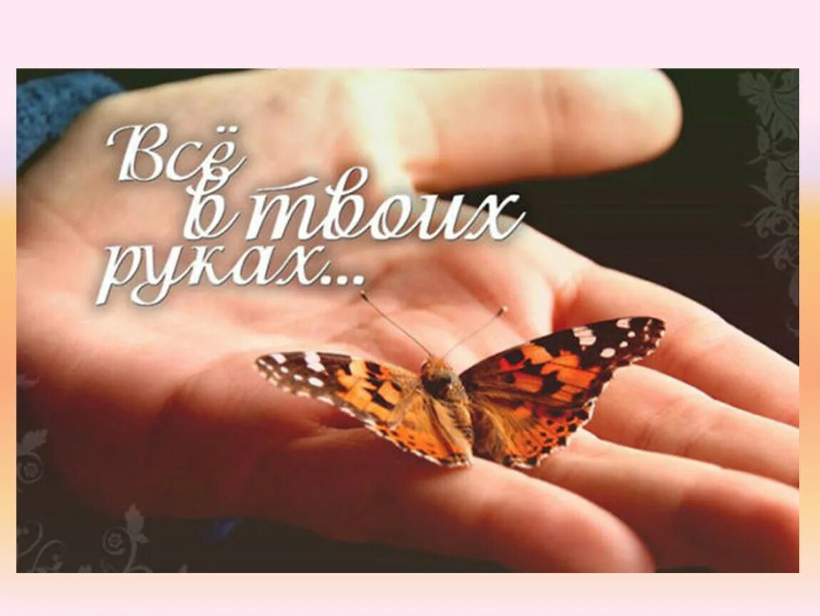 Притча о бабочке в руках. Все в твоих руках цитаты. Картинка все в твоих руках. Все в твоих руках действуй. Твоя жизнь в твоих руках.