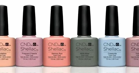 Shellac группа