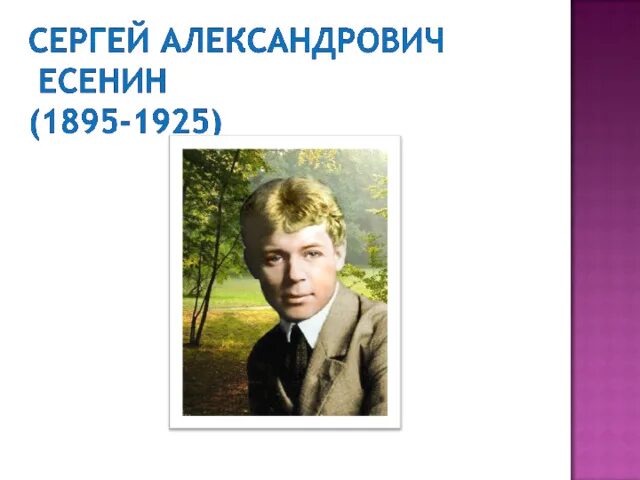 Лебедушка есенин аудио. Лебёдушка Есенин 4 класс. Урок чтения с Есенин Лебедушка. Презентация к стихотворению с.Есенина «лебёдушка»)..