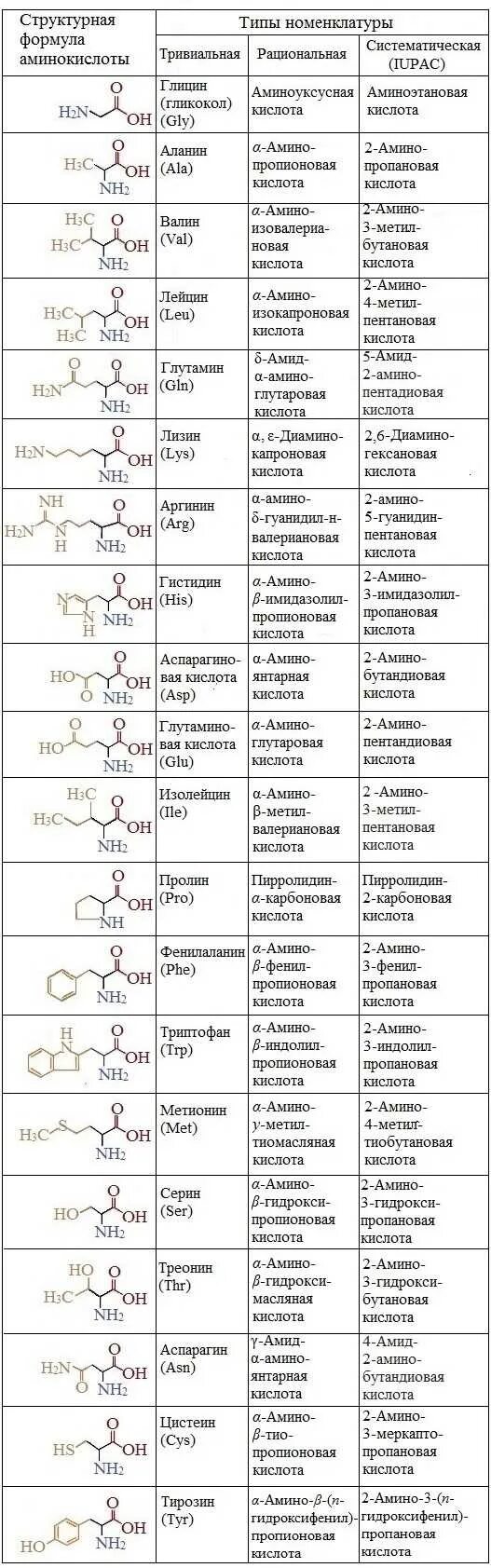 10 формул аминокислот. 20 Альфа аминокислот формулы. 20 Незаменимых аминокислот таблица. Формулы незаменимых аминокислот таблица. 20 Альфа аминокислот таблица.
