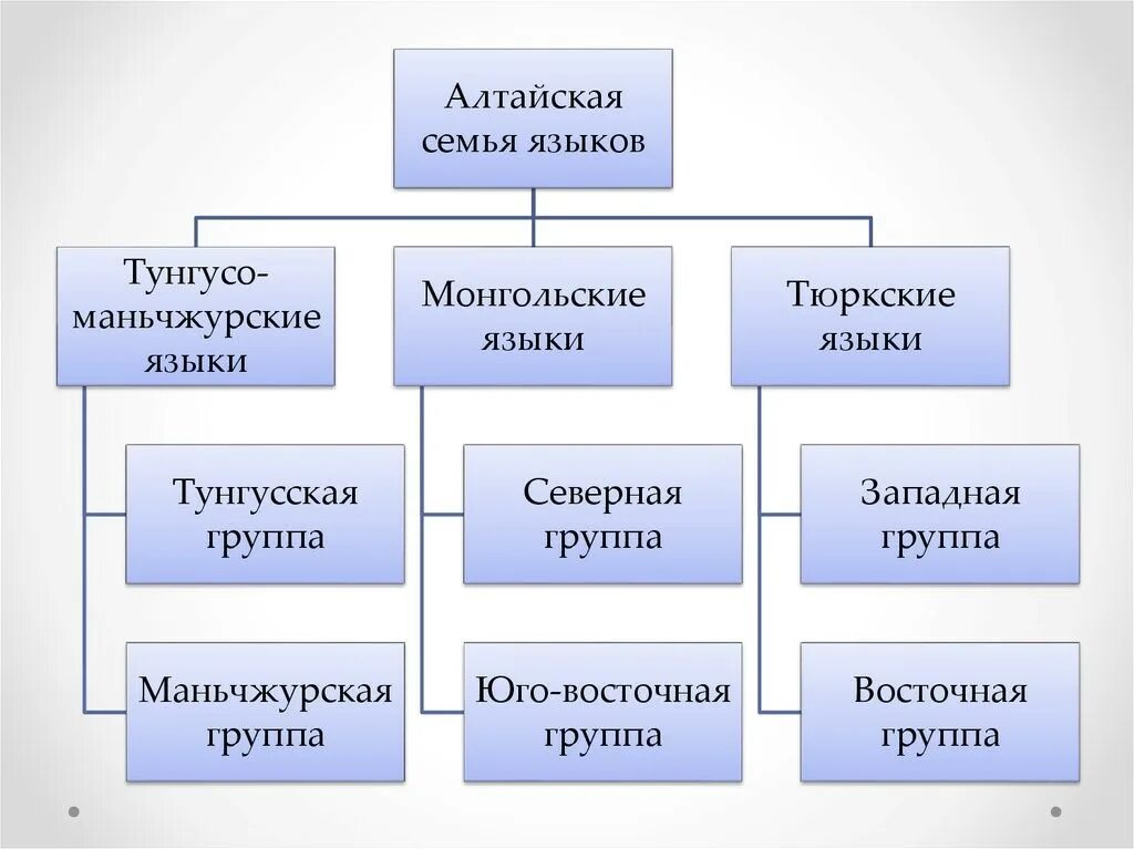 Алтайские языковые семьи. Языковые семьи Алтайская семья. Тюркской ветви Алтайской семьи. Алтайцы языковая группа. Семья относится к большой группе