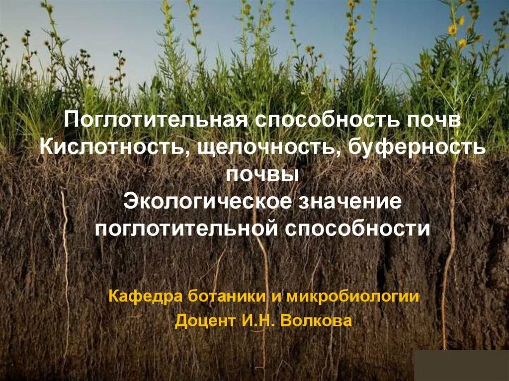 Способность почвы удовлетворять. Буферность почвы. Экологическое значение поглотительной способности почв. Кислотность и щелочность почв буферность почв. Буферная способность почвы.