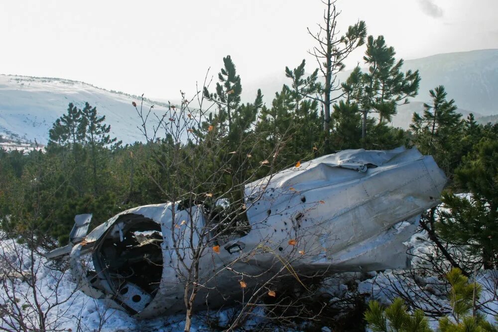 Упавший самолет на горе. Разбитый вертолет в тайге. Разбитый самолет в лесу. Ан-24 самолет авиакатастрофа. Упавший самолет на горе.
