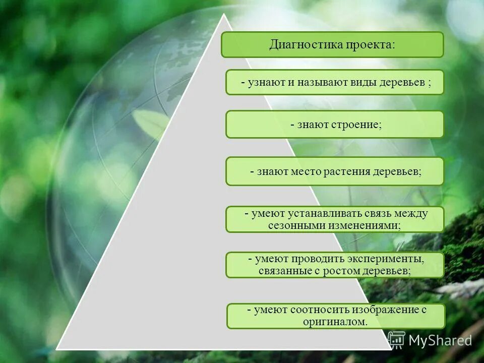 Методы и приемы экологического. Методы реализации экологического проекта. Содержание экологического воспитания.