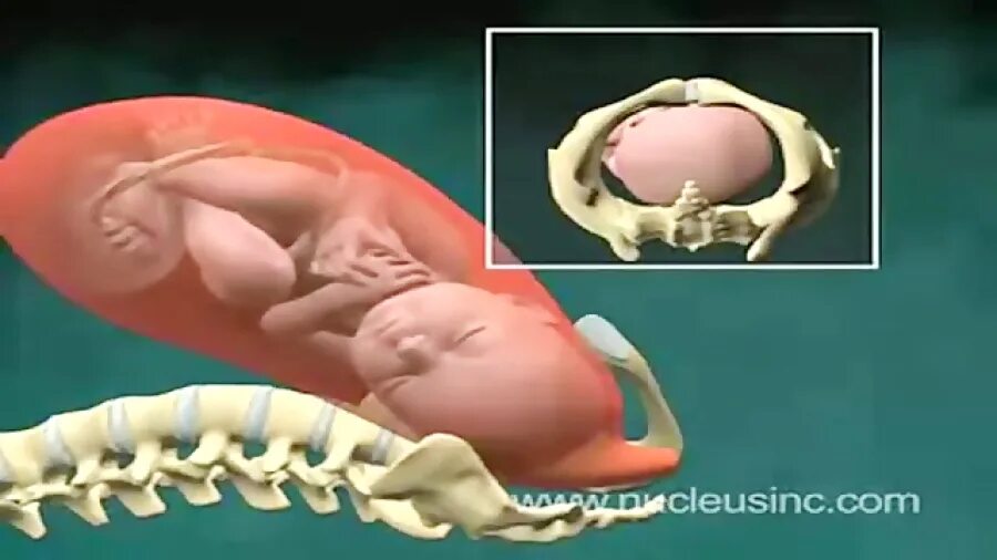 упражнения вызывающие схватки. может ли во время схваток шевелится. схватки перед родами. может ли во время схваток шевелится. как правильно дышать при схватках для облегчения.