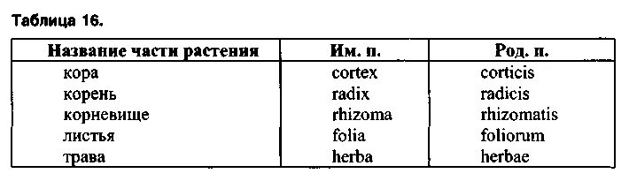 Подострый латынь. Названия лекарственных растений на латыни. Название лекарственных трав на латыни. Лекарственные растения на латинском языке с переводом. Латинские названия частей растений.