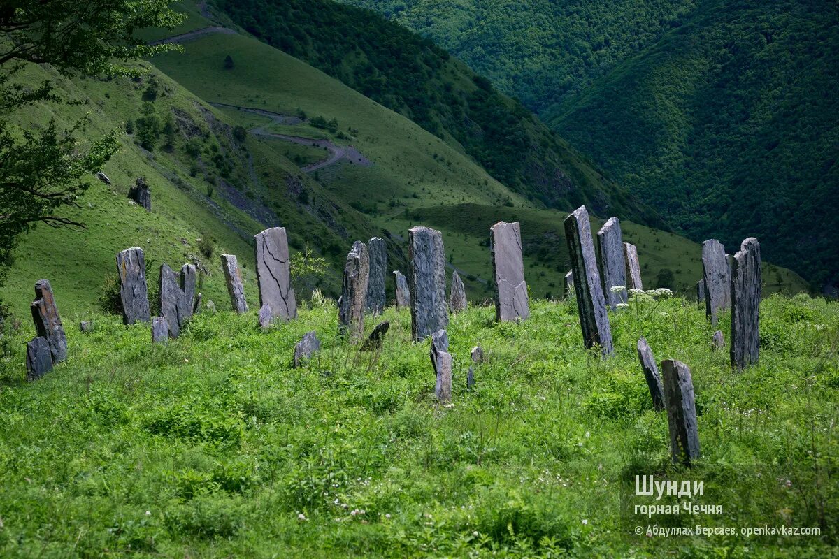 Чечня июль. Туры в чечню. Парк энисы чечня. Чечня июль. Чечня июль фото.