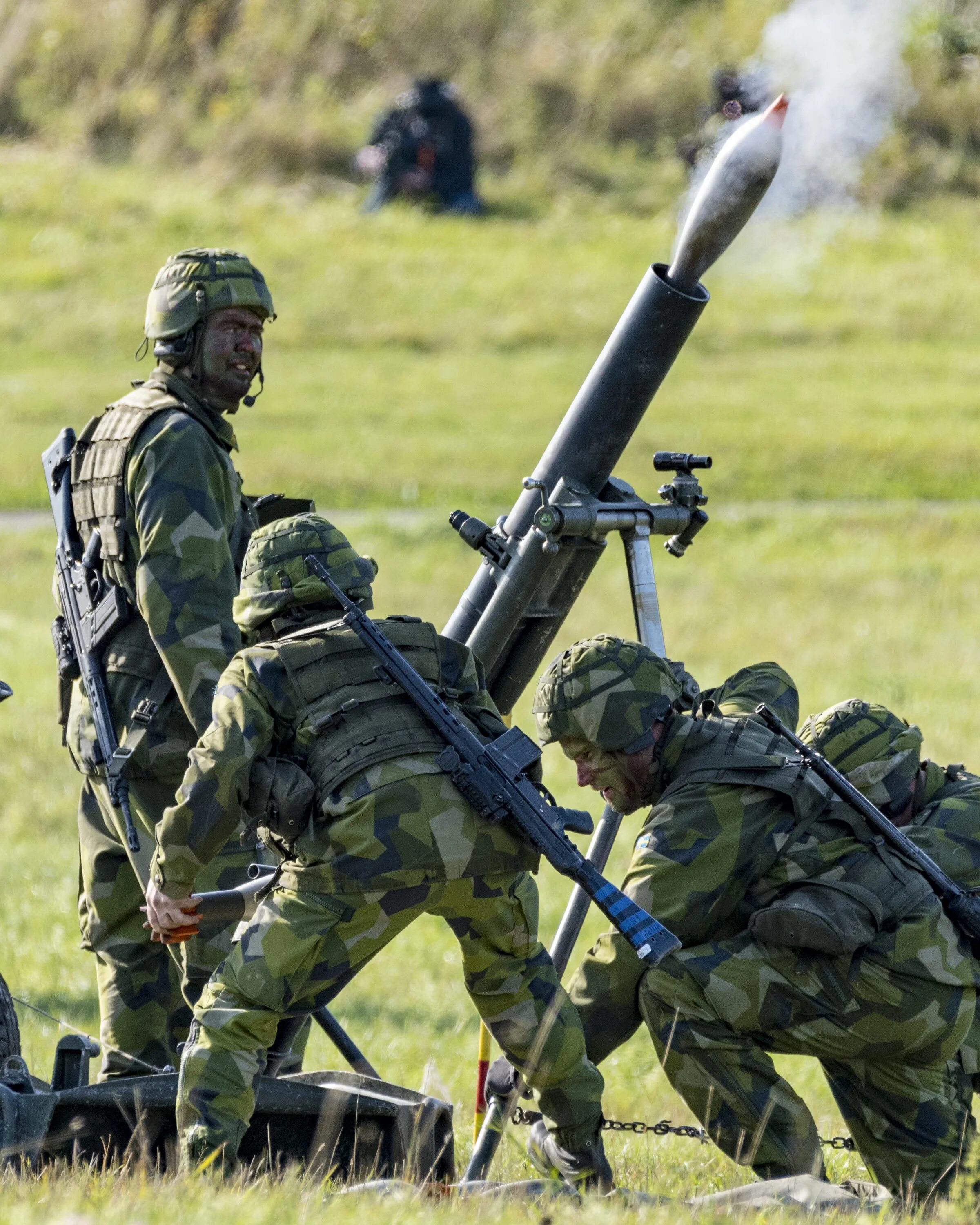Какие войска в швеции. Армия швеции. сухопутные войска швеции. военные силы швеции. солдаты швеции.