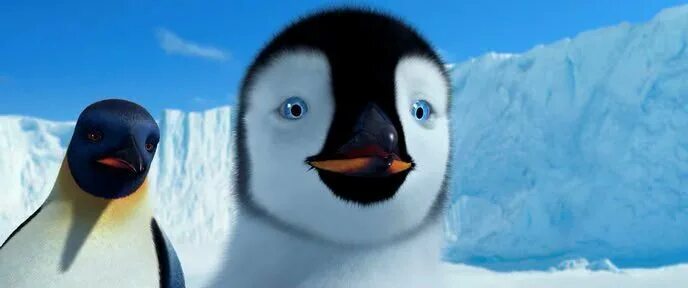 Делай ноги / happy feet (2006). Делай ноги намазать. Пингвин из мультика делай ноги. Делай ноги / happy feet (2006). Делай ноги / happy feet (2006).
