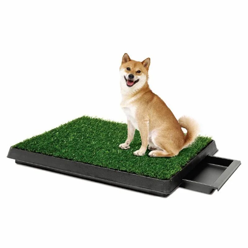 Туалет Puppy Potty Pad. Лоток открытый PETZOOM Pet Potty. Туалет для собак Потти Пэтч. Туалет для собак средних и больших пород с травкой Pet Potty big. Лотки для мелких пород