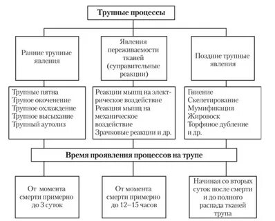 Ранний явление
