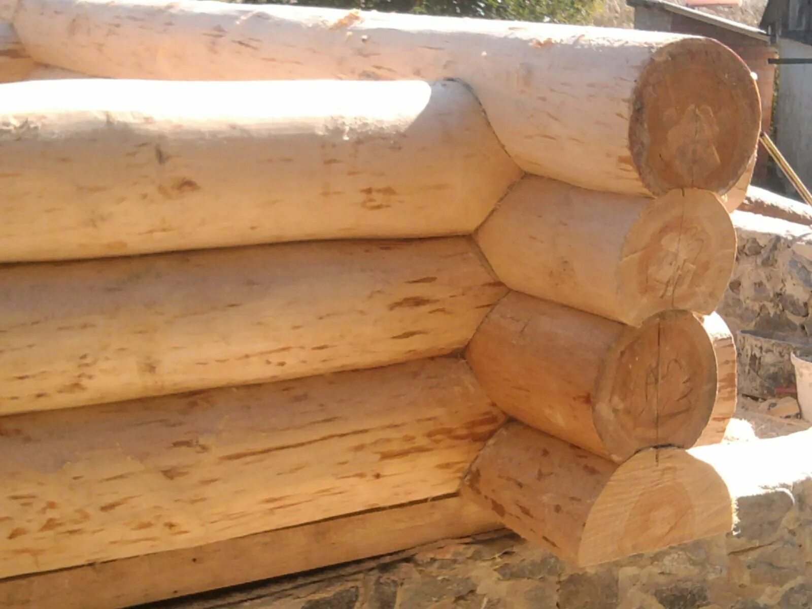 дом из бревна хонка. дом из сибирского кедра. рубка первого венца. сруб бани 3×5. сруб из неоцилиндрованного бревна.