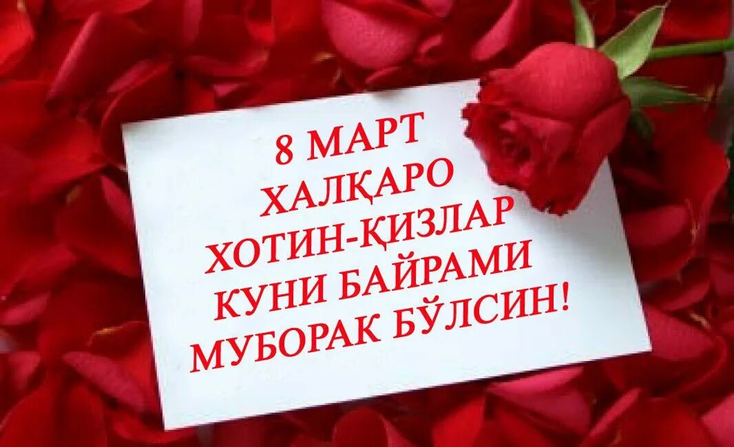 8 mart uchun tabrik