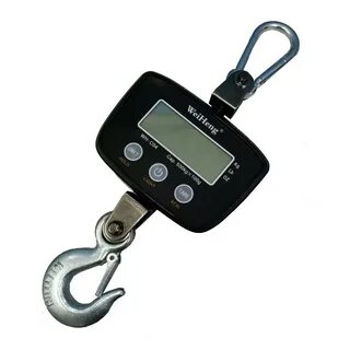 Scale link