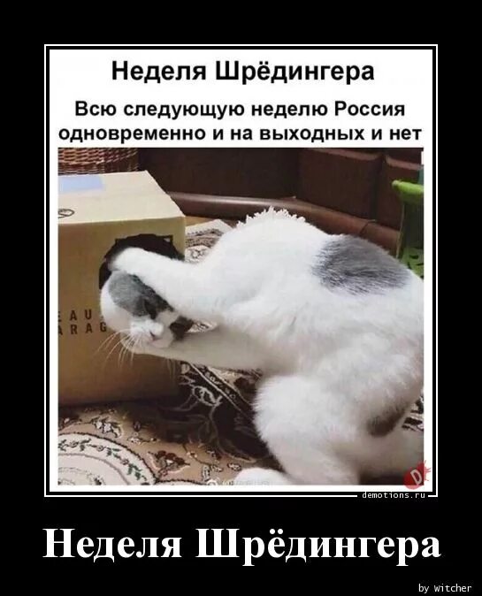 Делаю вид что работаю картинки. Трудовая инспекция прикол. Минтруд май. Следующая работа нерабочая. Нерабочая неделя.