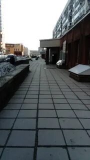 10 09 новосибирск