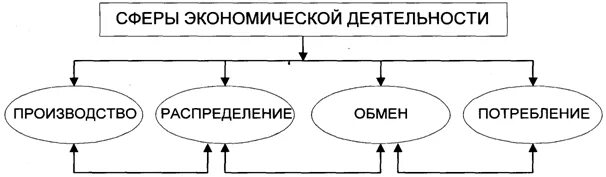 Экономическая деятельность схема. Экономическая сфера схема. Виды деятельности в экономической сфере. Схема производство распределение обмен потребление. Экономическая деятельность.