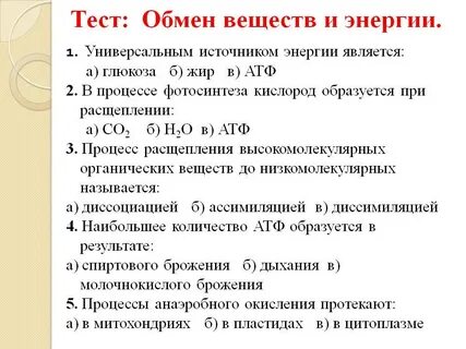 Энергетический обмен клетки тест