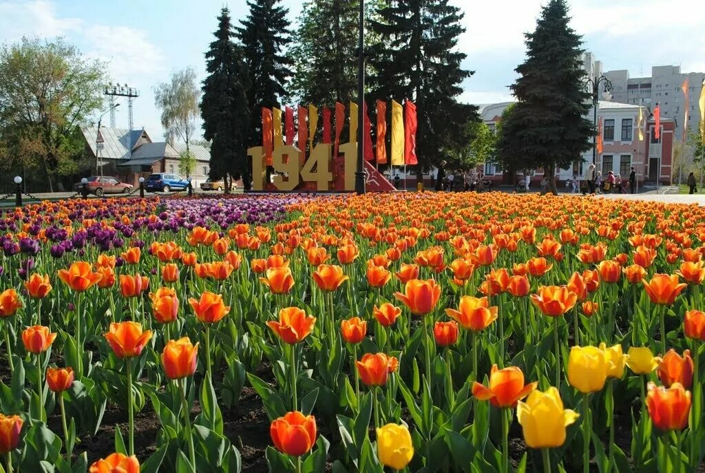 Тюльпаны нижнекамск. Аллея тюльпанов в Белгороде. Тюльпаны площадь Ленина Тамбов. Тюльпаны в городе.