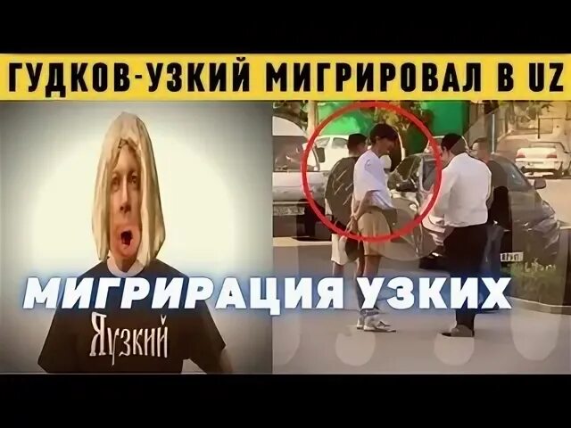 Гудков узкий. Шаман я узкий Гудков.