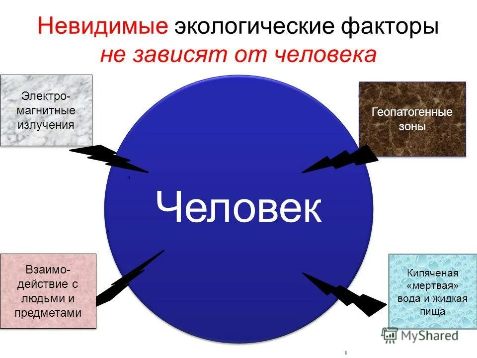 Пища какой экологический фактор. З экологических фактора. Экологические факторы здоровья. Природные факторы влияющие на человека. Природные факторы влияющие на здоровье.