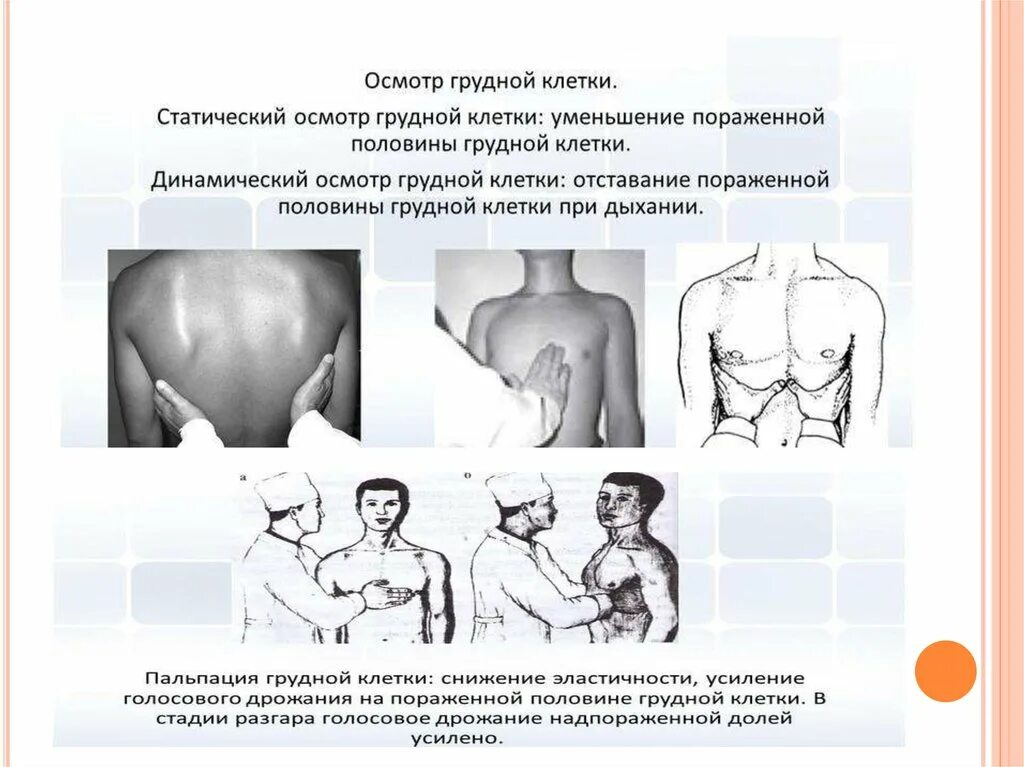 Голосовое дрожание в норме. Последовательность осмотра грудной клетки. Статический и динамический осмотр грудной клетки. Осмотр грудной клетки в норме. Статистический и динамический осмотр грудной клетки.