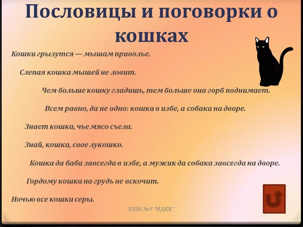 10 вопросов коту. Пословицы о кошках. Пословицы про котов. Поговорки про кошек. Пословицы и поговорки о котах.