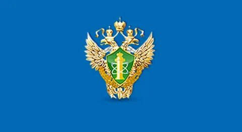 Гос надзор