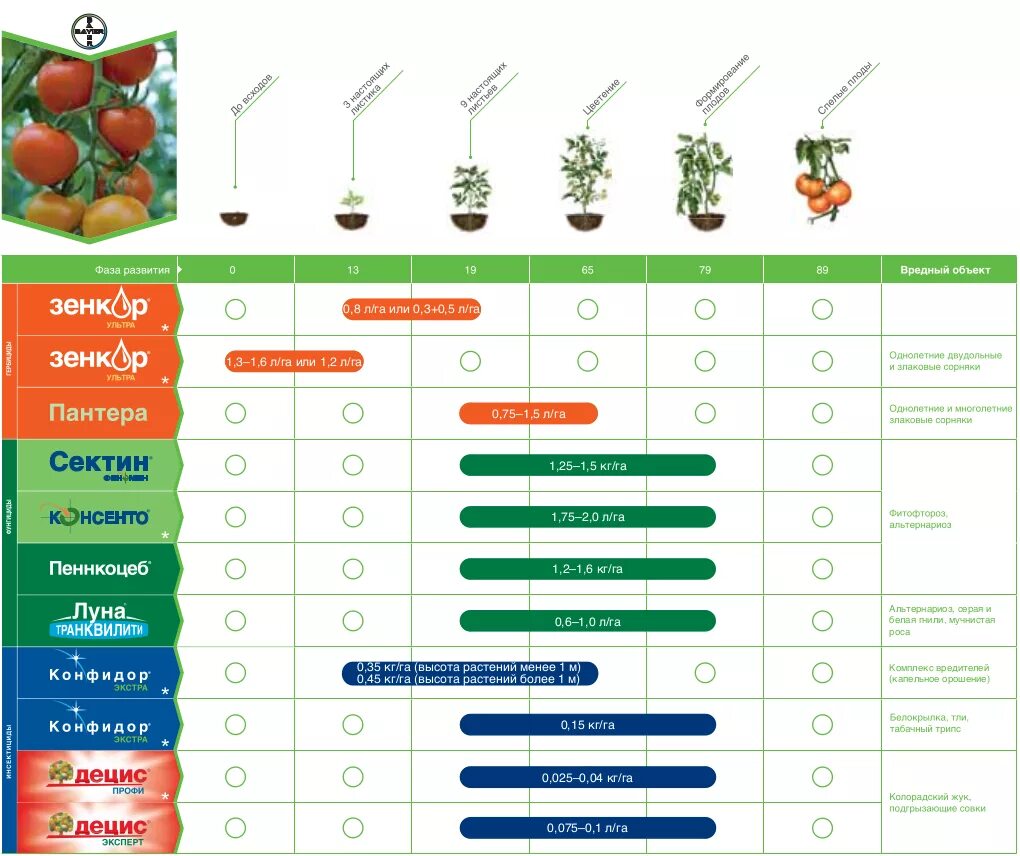 Схема защиты томатов открытого грунта. Таблица внесения удобрений. Схема удобрения.