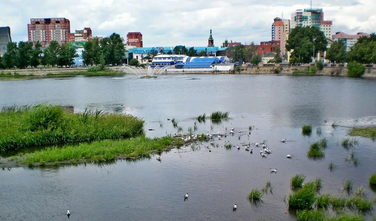 Уровень воды в реке Миасс поднялся в Челябинске из-за затяжных дождей Дзен