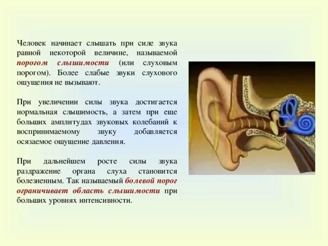 Порог слуха человека. Порог слухового ощущения это. Слуховая чувствительность человека. Пороги чувствительности слуха. Звук слышат возраст