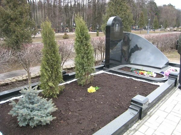 Кустарники на кладбище. Хвойная кладбище. Тихвинское городское кладбище. Хвойные растения для кладбища. Хвойная кладбище.
