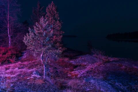 Night environment