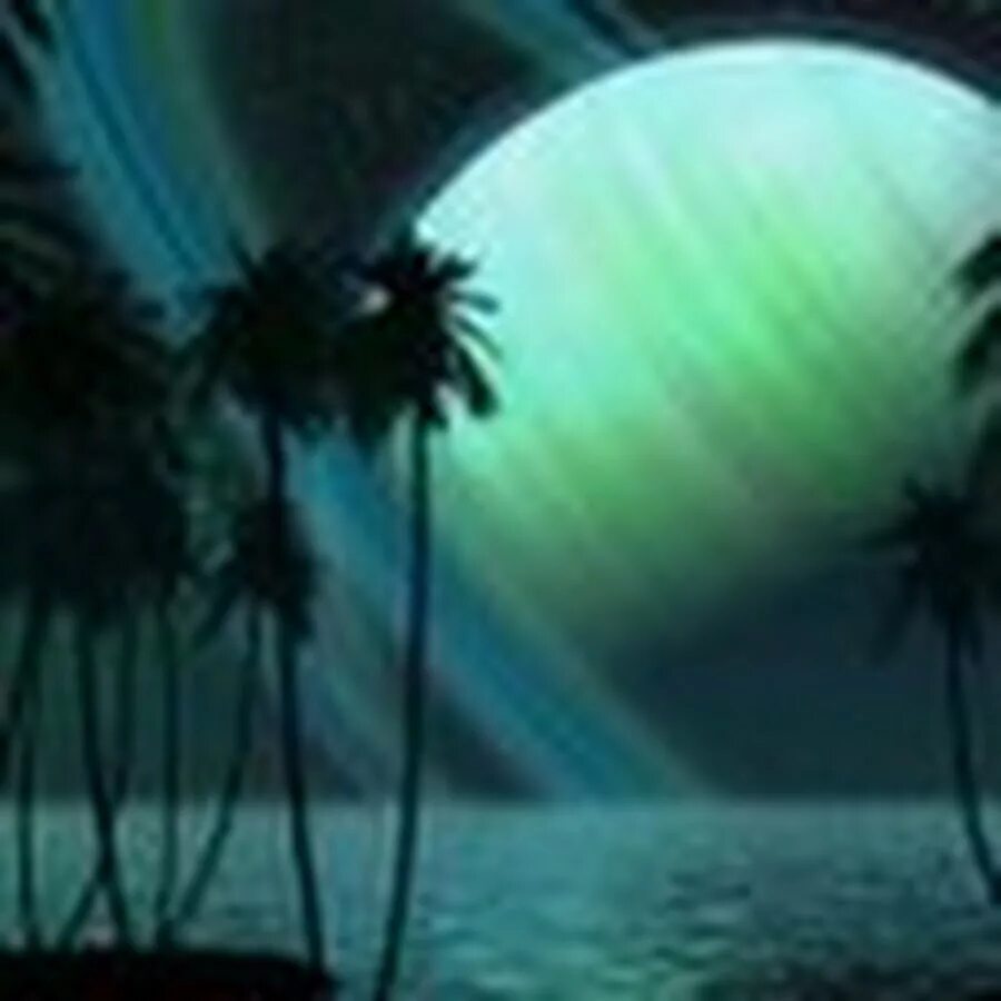 Ночь в тропиках. Море пальмы Луна. Ночь на море Луна пальмы. Ночь звезды пальмы море.