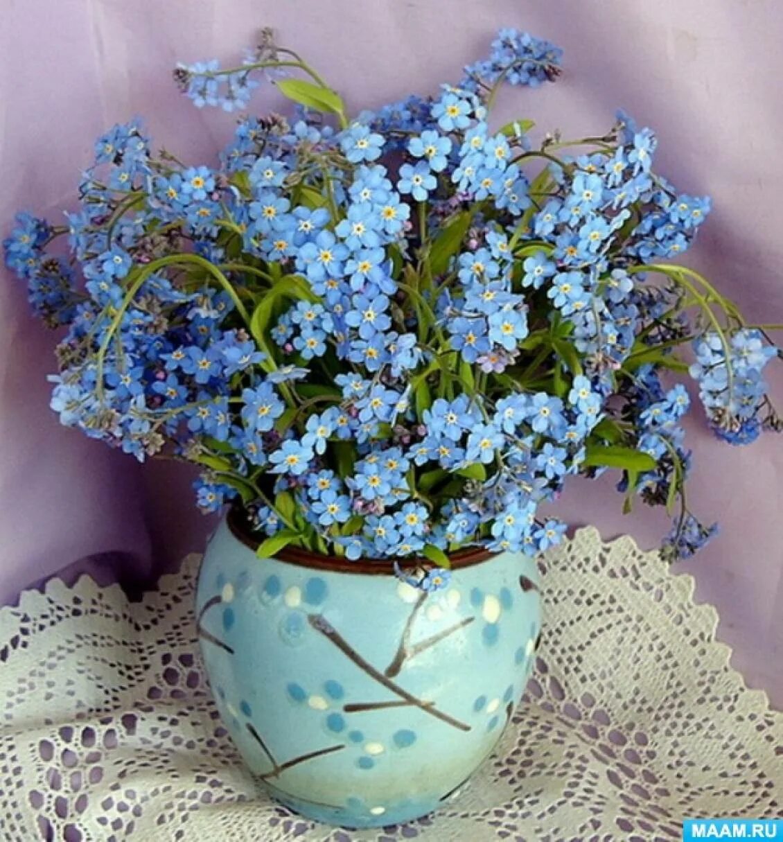 Фиалка букет незабудок. Незабудка Полевая (Myosotis arvensis). Незабудка горшечная. Незабудки в свадебном букете.