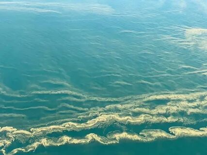 Вода в черном море летом