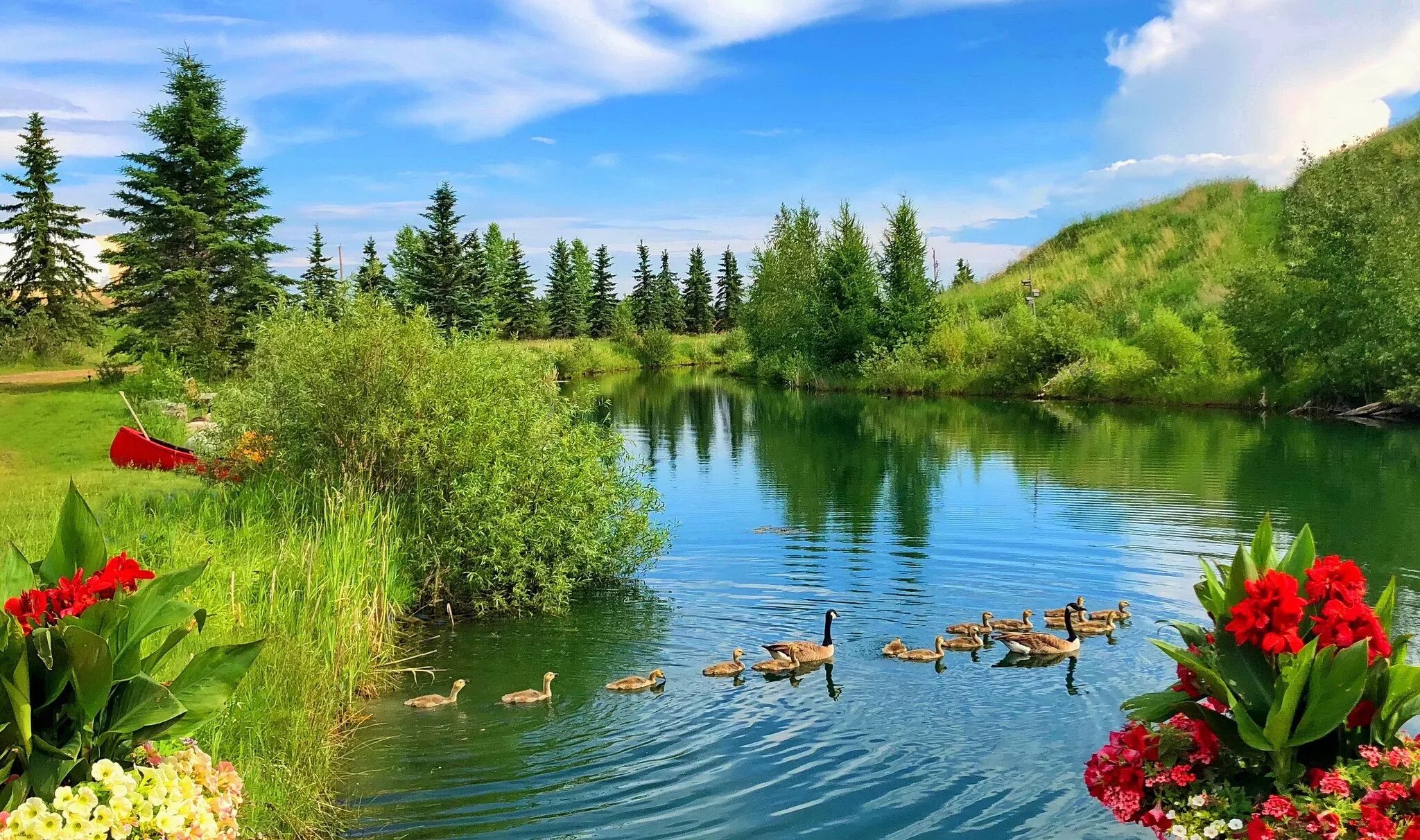 Лето в истоках